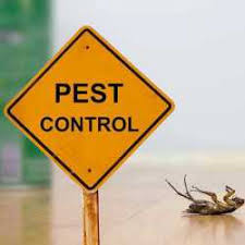 Find local 55 cockroach pest controllers near you. Top 100 Pest Control Services In Dehradun Best Residential Pest Control Services Justdial