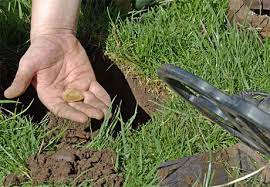 We talk about news, precious metals, history, economics and the financial system. If You Store Your Gold At Home Protect It From Discovery By Metal Detectors Owning Gold