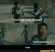 The Maze Runner Memes