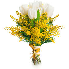 It's traditional for young boys to present bouquets of mimosa flowers to their teachers, mothers. Women S Day Mimosa Bouquet 60 00 Ottawa Flowers