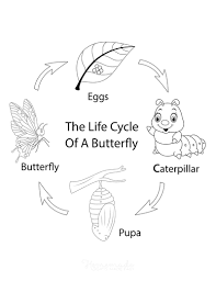 They are free for anyone to use for non commercial purposes. 112 Best Butterfly Coloring Pages Free Printables For Kids Adults