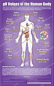 Ph Balance And Alkaline Level Charts Keep Track Of Your