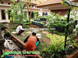 Didukung tenaga ahli yang berpengalaman serta cekatan sehingga mampu menciptakan karya seni taman berkualiras tinggi. Tukang Taman Mojokerto