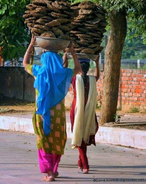 Did you use cowdung cakes for cooking in old Bangalore?