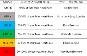 Get Better Data Better Workout Results With Myzone