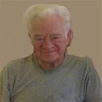 Allan P. Friedman Obituary