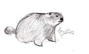Tabasco sauce, dish detergent, crushed garlic, and water. Keeping Groundhogs And Rabbits Out Of Your Garden Hubpages