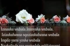 (zulu proverb) this world is a harsh place, this world. Facebook