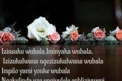 Apart from the general quotes, there are zulu love quotes that one can use to spice up their relationships. Facebook