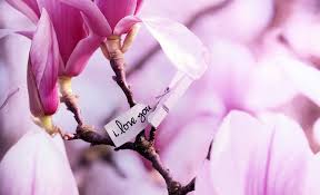 Anumite aspecte legate de starea de sănătate, de muncă sau de horoscopul zilei de 1 aprilie 2021. Horoscop Dragoste Saptamanal 29 Martie 4 Aprilie 2021 Actioneaza Acum Este Momentul Sfatulparintilor Ro