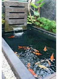 Kolam koi lebih baik ditempatkan di area yang teduh, daripada di area yang mudah terkena sinar matahari langsung. 11 Kolam Ikan Background Konstruksi Sipil