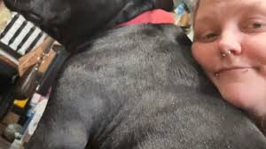 Fundraiser by Miranda Katlyn Knieriem : Help Miranda Reunite with Her Soul  Dog Dio