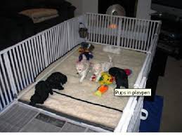 Best value in whelping boxes and puppy pens. Whelping Accessories Durable And Modular Roverpet