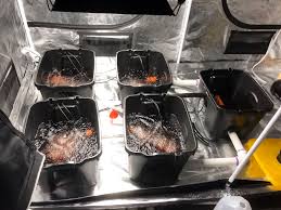Diy How To Build Undercurrent Hydroponic System Mold Resistant Strains