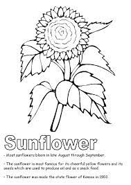 Tip of snake tail coloring pages. Parentune Free Printable Sunflower Coloring Pages Sunflower Coloring Pictures For Preschoolers Kids
