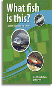A Guide To Freshwater Fish In Nsw