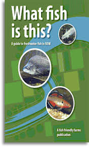 a guide to freshwater fish in nsw