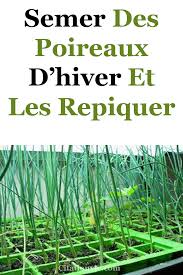 Semer Des Poireaux D Hiver Et Les Repiquer Jardin Communautaire Astuce Jardinage Jardin D Hiver
