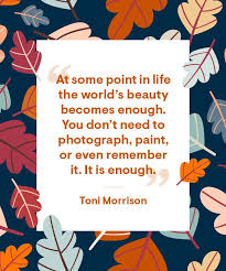 Gratitude quotes about thanks and praise for thanksgiving and every day. 44 Best Happy Thanksgiving Quotes Sayings About Gratitude