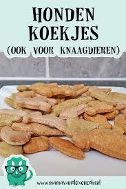 Pin Op Mamavandexenodin Nl