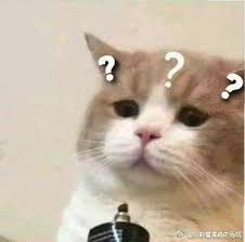 Pin By Babyfinny On Pins Of Everything I Like Basically In 2020 Funny Cat Gifts Cute Cat Memes Cat Memes