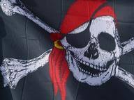 Displaying 57 questions associated with grapefruit. Pirates Trivia Questions Answers Other People
