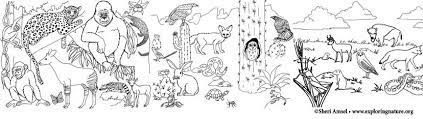 Get 10 animal habitat coloring sheets and 4 animal finger puppets! Habitats And Seasons Coloring Pages