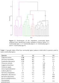 Image result for Discopodium penninervium