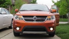 Image result for Mango Tango 2011 Caliber