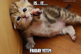 Is it Friday yet quotes cute friday kitten dayys of the week ... via Relatably.com