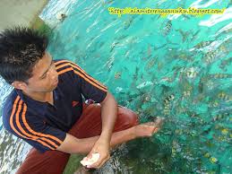 Percutian ke pulau redang bersama keluarga adalah satu aktiviti yang patut di cuba! Pengalaman Bercuti Di Pulau Redang Ciktom