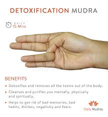 Cleanses All Toxins From The Body Dailymudras Mudras Detoxificationmudra Cleanse Toxin Mudras Yoga Benefits Restorative Yoga