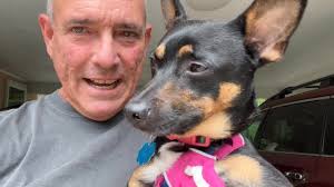 Dog's reaction to Peter Dutton