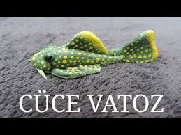 Balik Turleri Cuce Vatoz Balik Cuce