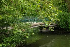 Presently, botanischer garten rombergpark houses an ancient english landscape lawn replete with monuments and a garden featuring countless kinds of woody plants. Liebesschlosser Im Botanischen Garten Rombergpark Und Warum Sich Ein Besuch Dort Sonst Noch Lohnt Wir In Dortmund