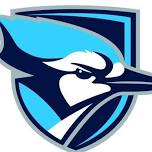 Elmhurst Summer Lacrosse Day Camp