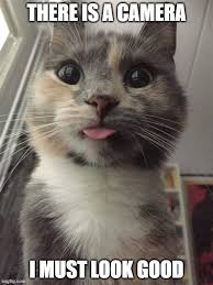 About press copyright contact us creators advertise developers terms privacy policy & safety how youtube works test new features press copyright contact us creators. Image Tagged In There Is A Camera Imgflip