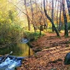 Here's the trailer and plot. Casa La Vega El Bosque Updated 2021 Prices