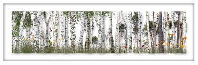 Check spelling or type a new query. Bild Birken Kiefernwald 2020 Von Andreas Lutherer Kaufen Kunsthaus Artes