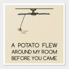 Myinstants is where you discover and create instant sound effect buttons. New A Potato Flew Around My Room Song Lyrics Meme Memes Gif Memes Vine Memes Came Memes
