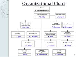 Managerial Hierarchy Of Nestle