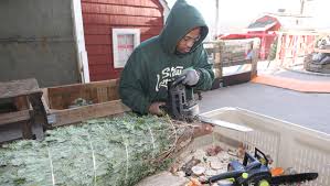 Stew leonard s hosts 2018 christmas tree lighting in. Christmas Tree 101 With Stew Leonard Jr