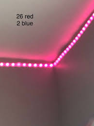 Pomegranate Led Lighting Bedroom Led Room Lighting Pink Led Lights