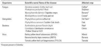 Plant Responses To Pathogen Attack Molecular Basis Of Qualitative Resistance