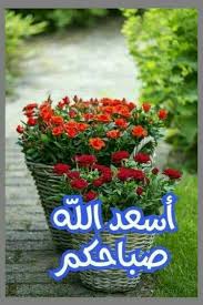 pin by el anebri on صباحيات good morning good morning photos good morning beautiful images good morning beautiful