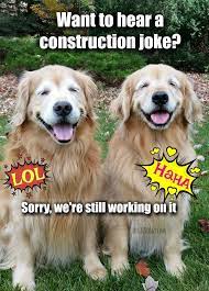 Funny Golden Retriever Construction Joke Meme Postcard Zazzle Com Funny Animal Jokes Funny Dog Jokes Golden Retriever Funny