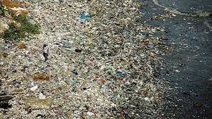 How did you make this video? Petition Google Maps Google Map The Great Pacific Garbage Patch Change Org