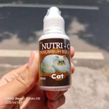 Check spelling or type a new query. Nutri C Vitamin Kucing Penyubur Bulu Kucing Penumbuh Bulu Kucing Terbaru Juli 2021 Harga Murah Kualitas Terjamin Blibli