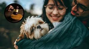 ALERTA! Cobra venenosa está suelta en calles de Carolina del Norte