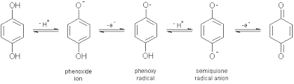 Oxidation Of Phenols To Benzoquinones Chemgapedia